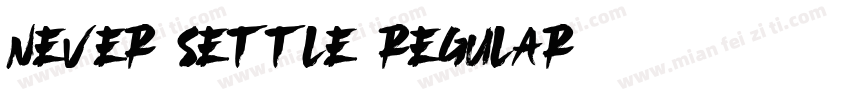 Never settle regular字体转换